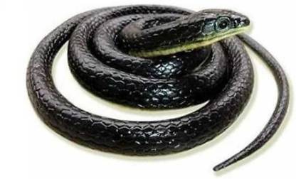 Stardom style Realistic Rubber Snake Gag Toy (Pack of 1) snack Gag Toy