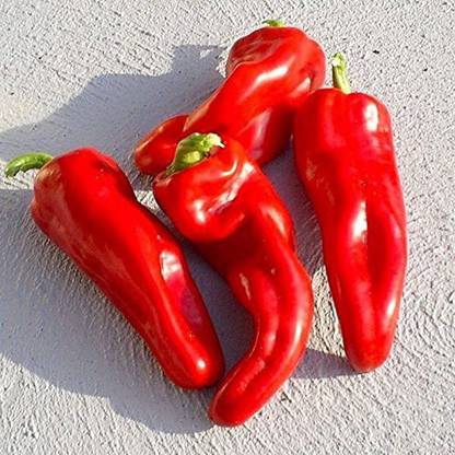 VibeX ™ XX-812-Dulce de Espana Sweet Pepper Seeds Seed