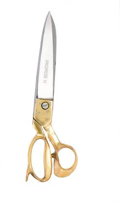 promise u SCI10 Scissors