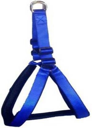 Pettom Dog Harness & Leash