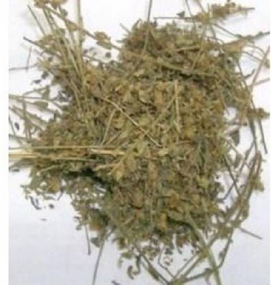 VINARGHYA Harankhuri / Shankha Pushpi / Shankhavali / Shankhahuli / Porpang / Dodak Seed