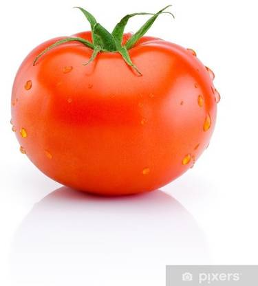 NurseryNature Tomato, Tamater Seed