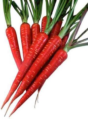 NurseryNature Red Carrot,Lal Gajar Seed