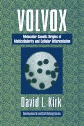 Volvox