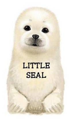 Little Seal