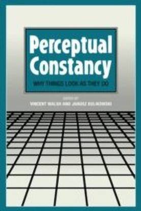 Perceptual Constancy