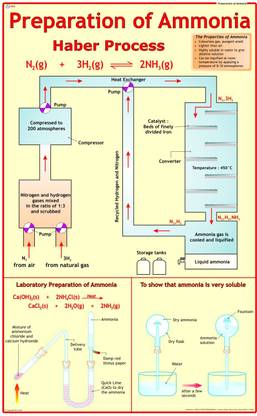 Chemistry Chart - Preparation of Ammonia Photographic Paper