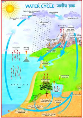 Environment Chart - Water Cycle Photographic Paper