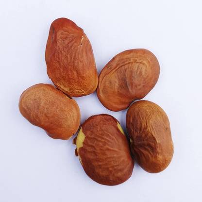 Green India Pongan Oil Tree Seeds - Without Pod (Pongamia Pinnata) (Brown, Pack of 1 kg) Seed