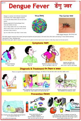 Dengue Chart Photographic Paper