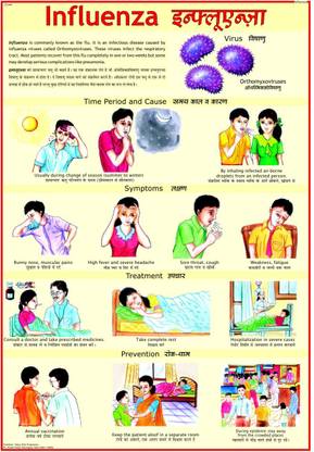 Influenza Chart Photographic Paper