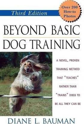 Beyond Basic Dog Training