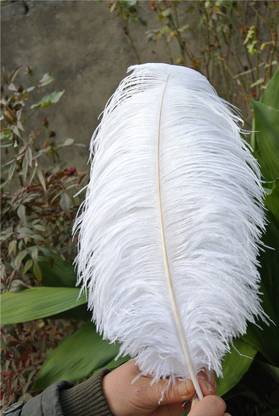 My Party Suppliers White Decoration