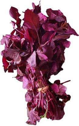 CooPany LAAL SAAG SEEDS / RED CHEERA SEEDS / RED SPINACH AMARANTHUS SEEDS 1000 SEEDS Seed