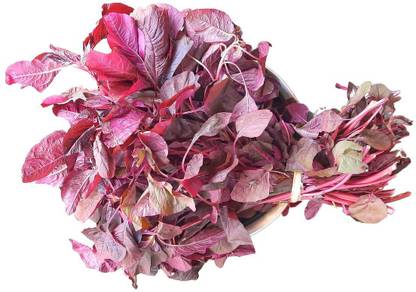 CooPany RED CHEERA SEEDS / RED SPINACH AMARANTHUS SEEDS / LAAL SAAG SEEDS 25 GRAMS 25,000 SEEDS Seed