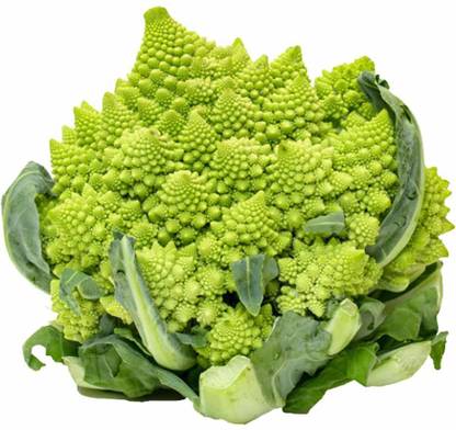 VibeX Pagoda Cauliflowe Seed
