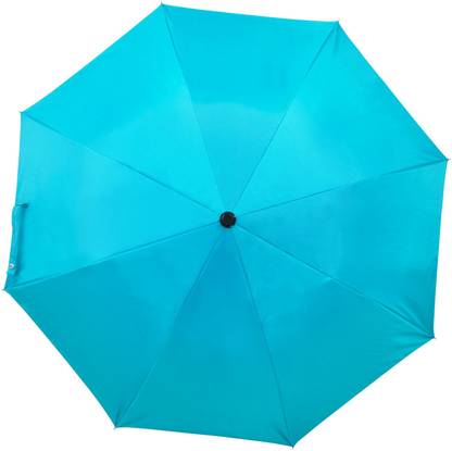 Flipkart SmartBuy 2 Fold Auto Open Polyester Umbrella