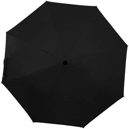 Flipkart SmartBuy 2 fold Auto Open Nylon Umbrella