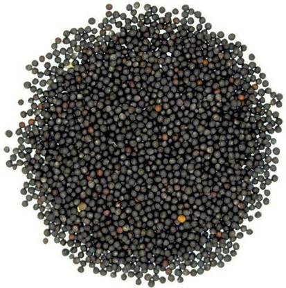 Sri Satymev Black Mustard Seeds Pack of 200gm