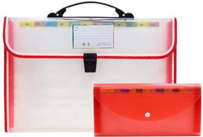 Yugadharma Plastic Expanding Visa File Folder