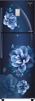 Samsung 253 L Frost Free Double Door 3 Star Convertible Refrigerator
