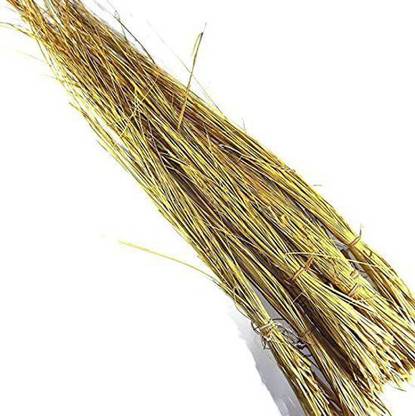Fabido Sacred Kusha Grass Bundle 20No for Pooja