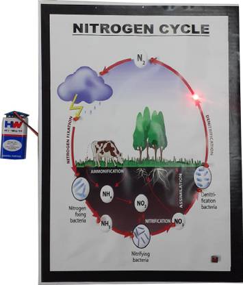 MELODY's Nitrogen Cycle - Science Working Model Using Running LED Lights Educational Electronic Hobby Kit