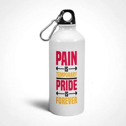Ins Bot Pain is Temporary Pride is Forever bottle 650 ml Bottle