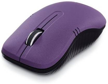 royalcomputer ps2 mouse Wireless Optical Mouse