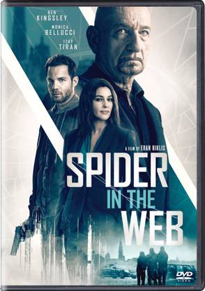 Spider in the Web