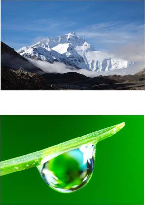 Nature Poster Combo- Wall Poster-Snow Mountain Combo And Water Drop In Leave Poster For Decoartion - High Resolution - 300 GSM - Paper Print
