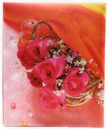 Cute Shopping Network Designed High Quality Photo Album with Extra Clear PVC Film, 100 Photos, (Photo Size Supported: 4x6 Inch) Album