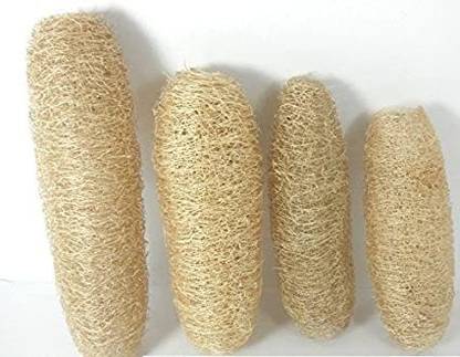 HM Herbals Natural Scrubber Of Dried Ridge Gourd (PEERKANGAI NAAR) 4pis