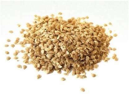 GLOBLE Enterprise Potato Seeds Seed