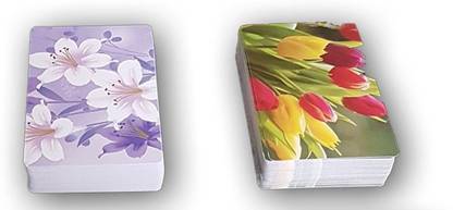 Quinergys XXX-29 Master Playing Cards