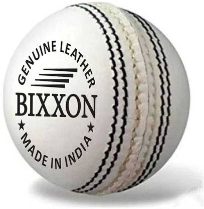 Bixxon SMART LEATHER BALL Cricket Training Ball