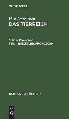 Einzeller, Protozoen