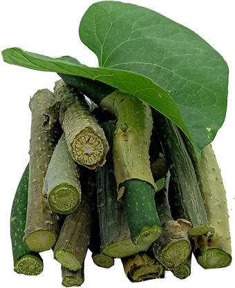 TIGMA Guchcha, Giloy stems, Guduchi stems, Giloy Stems the Great Immunity Booster Seed