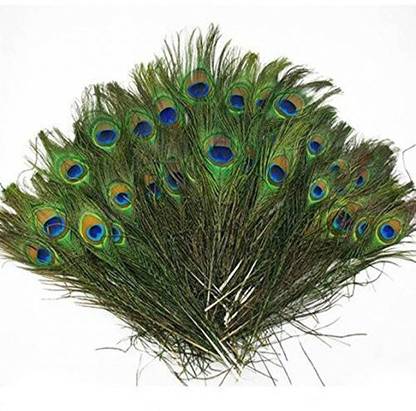 eFashion Pack of 30 Decorative Feathers