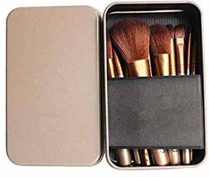 AVTY Makeup Brushes Kit with A Silver Storage Box - Set of 12