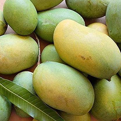 Siri Organic Mallika Mango