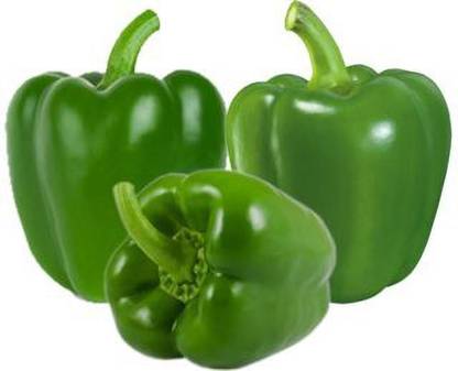 Bagwani Green capiscum pack of 50 seeds Seed