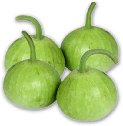 Earth Angels Bottle Gourd -Lauki Seed