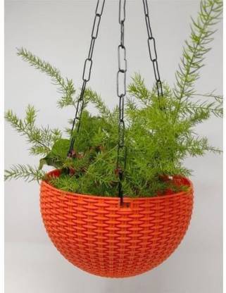 Funtastik Plant Container Set