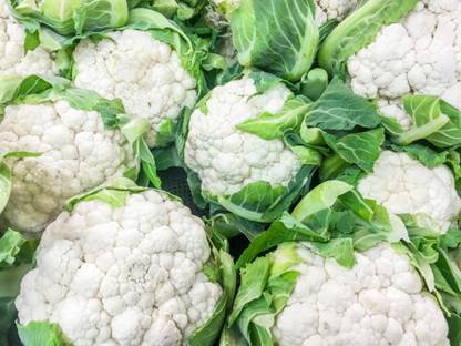Quentova गोभी Cauliflower Phool Gobhee/Phul Gobhi Seed
