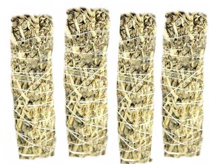 izypick Sage 25Gms x 4 Sage