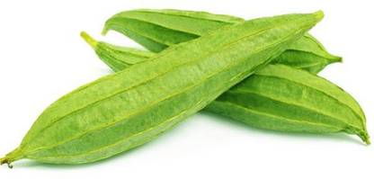 MaliaGarden Ridge Gourd -Luffa -Turai -Jhinga Seed