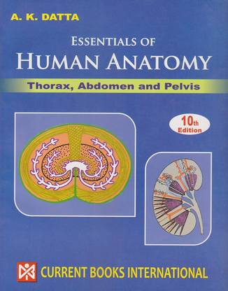 Essentials Of Human Anatomy Thorax Abdomen & Pelvis Vol-I 10Ed