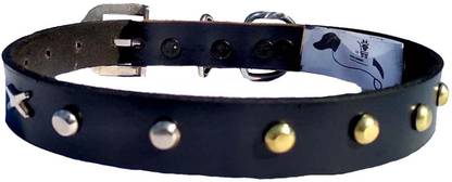 Petox Zone Large25 Embellished Dog Collar Charm