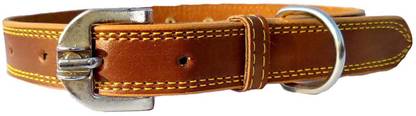 Petox Zone Medium190 Embellished Dog Collar Charm